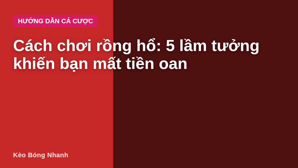 Cách chơi rồng hổ: 5 lầm tưởng khiến bạn mất tiền oan